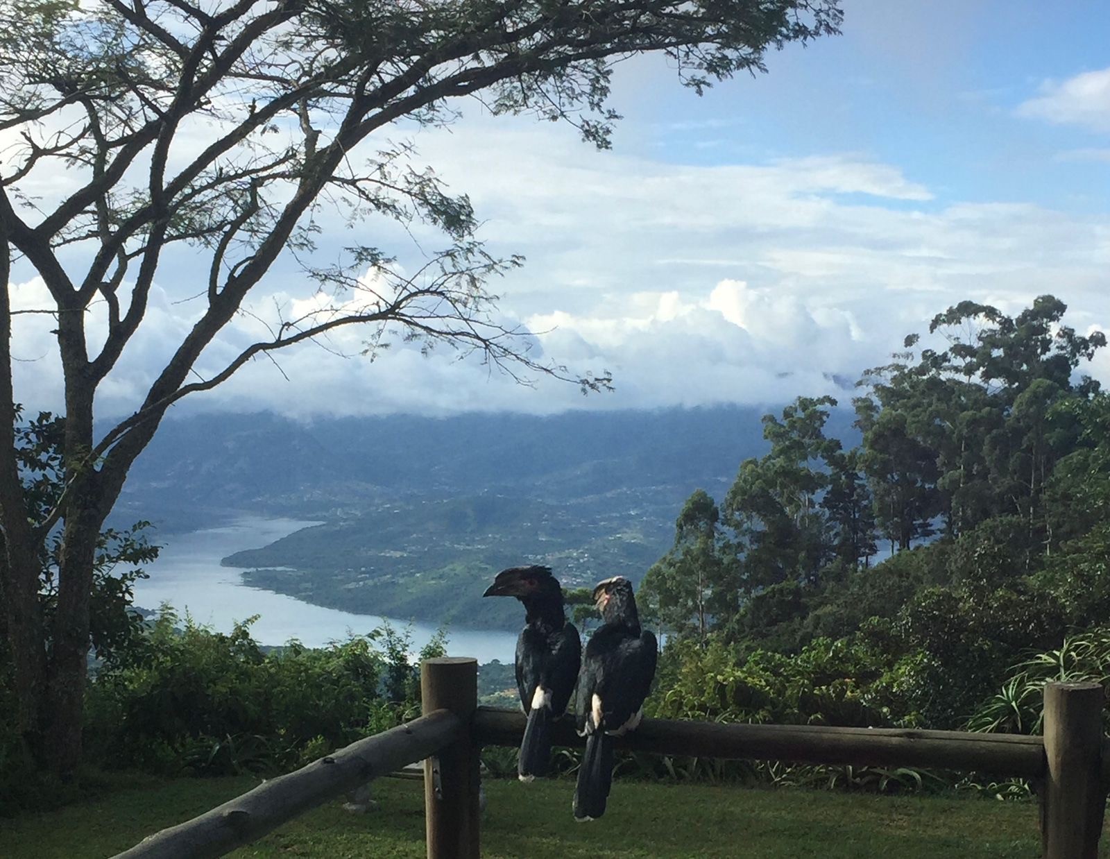 Rooms with a View — Inanda Dam far below, the Valley of a Thousand Hills as a backdrop